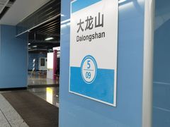 -大龙山(地铁站)