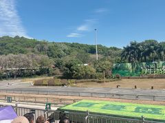 -深圳野生动物园