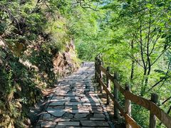 -大岭沟猕猴桃谷风景区