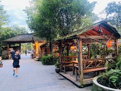 -青城甲(青城山店)