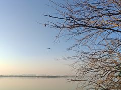 -瑶湖郊野森林公园