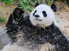 -泉州海丝野生动物世界