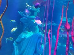 -沈阳海洋探索中心