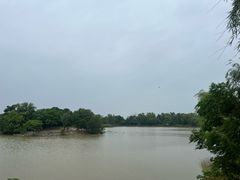 -盐城丹顶鹤湿地生态旅游区