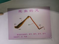 -上海昆虫博物馆