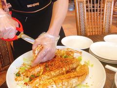 -猪肉婆私房菜(容桂总店)