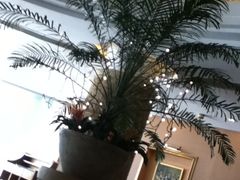iphone_upload_pic-上海富豪东亚酒店(零陵路店)