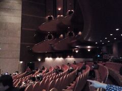 android_upload_pic-天桥杂技剧场