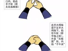 -钦赐仰殿道观