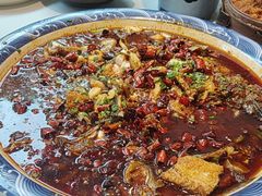 -新概念来凤鱼(璧山店)