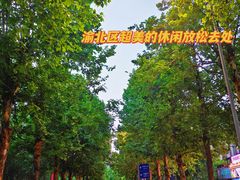 -龙头寺公园