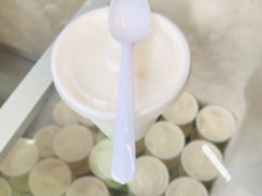 -洪馨椰子