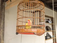 -炊江南·上海菜(国展华漕店)