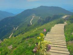 -白草畔自然风景区