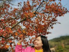 -田野绿世界