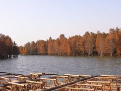 -尚湖风景区