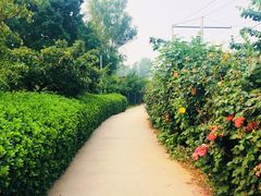 -意大利农场度假村