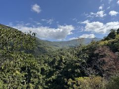 -霸王岭国家森林公园