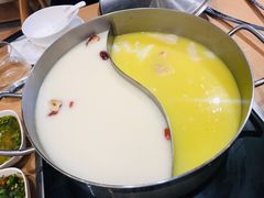 金湯花胶走地鸡锅-湯系·煲汤手艺人(东二环泰禾广场店)