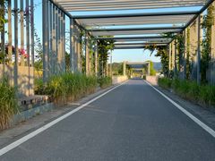 -光明小镇欢乐田园