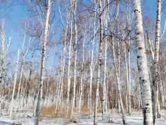 -长春市南湖公园