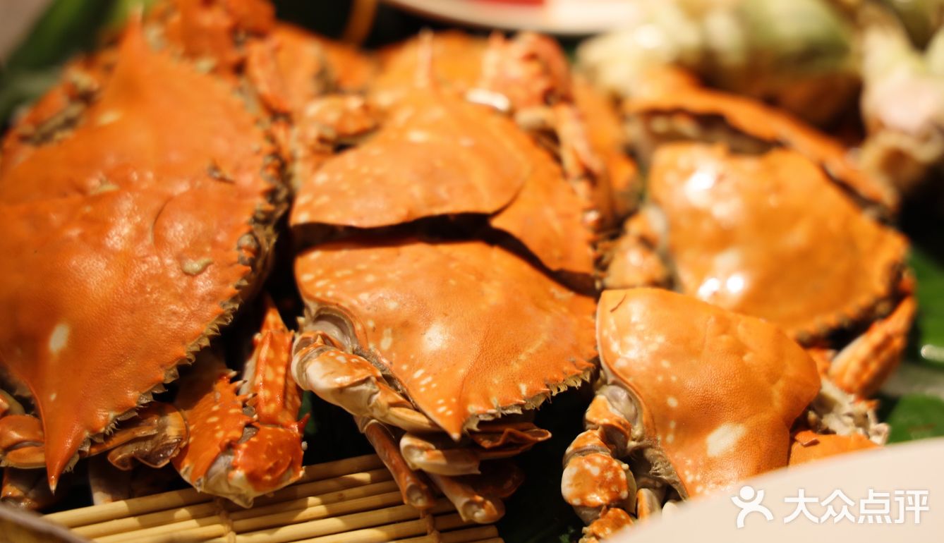 北京｜肉食爱好者都说好的自助