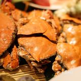 北京｜肉食爱好者都说好的自助