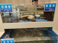 -双井轩(双井店)