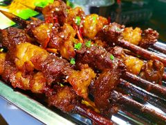 红柳枝羊肉串-临湖人家(欢乐大道店)