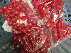 -崇明东平国家森林公园烧烤房车露营地