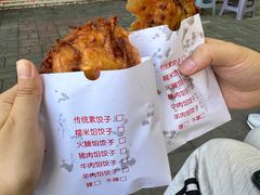 -半月镰胡姐脆皮萝卜饺子