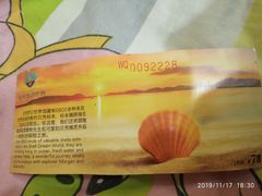 -贝壳梦幻世界