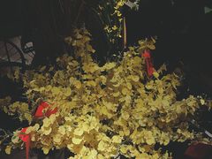 -胡桃里音乐酒馆(白云五号T5 MALL店)