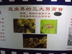 -上海昆虫博物馆