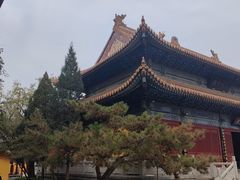 -挂甲禅寺