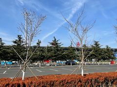 -威海大水泊国际机场