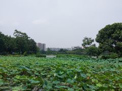-四川大学(江安校区)