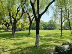 -柳莺湖上·湖景餐厅·江南菜(西湖店)