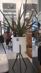 -I+造型烫发染发