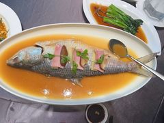 -骏莱海鲜鱼港(五角场店)