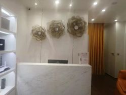 -YESIDO椰岛造型