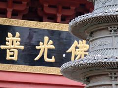 -深圳仙湖植物园