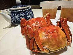 -新雅粤菜馆(南京东路店)