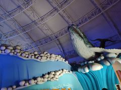 -烟台海昌鲸鲨海洋公园