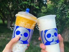 芒芒生打椰-茶百道(爱融荟城店)