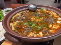 -杨氏青龙虾·羊蝎子(珠江路店)