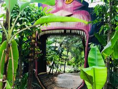 -呀路古热带植物园