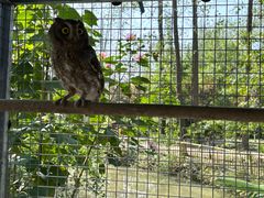 -合肥滨湖国家森林公园