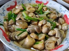 -粤秀古树庄园