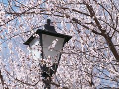 -三里河公园